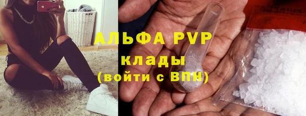 прущие грибы Лабытнанги