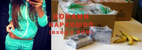 прущие грибы Лабытнанги