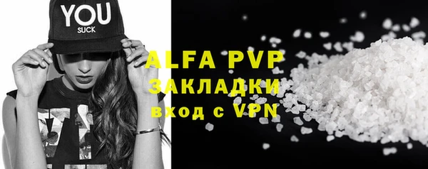 прущие грибы Лабытнанги