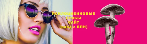 мдпв Лиски