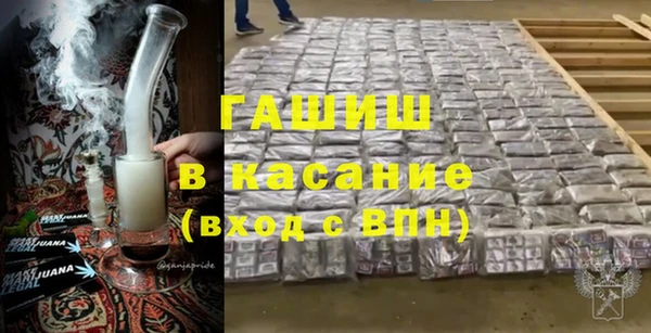 прущие грибы Лабытнанги