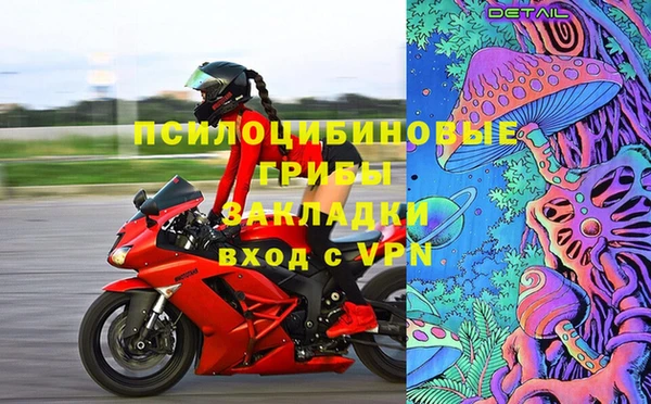 прущие грибы Лабытнанги