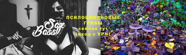 первитин Лагань