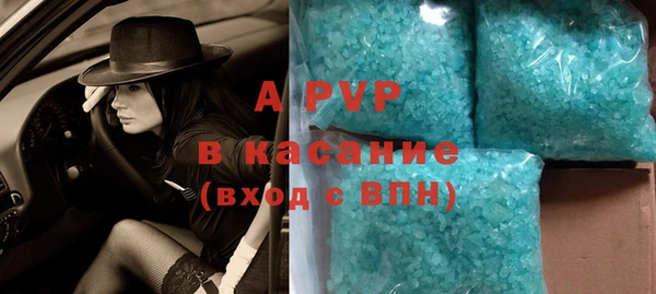 прущие грибы Лабытнанги