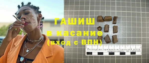 прущие грибы Лабытнанги