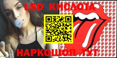 прущие крисы Бийск