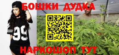 прущие крисы Бийск