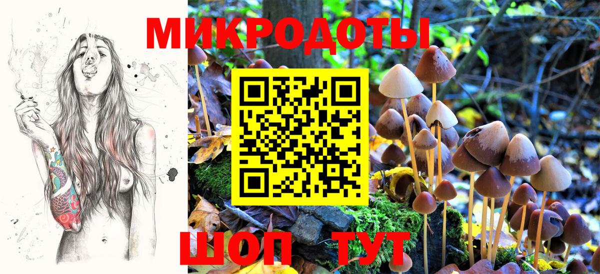 Галлюциногенные грибы GOLDEN TEACHER  Вход с VPN  Галлюциногенные грибы мицелий  Брянск 