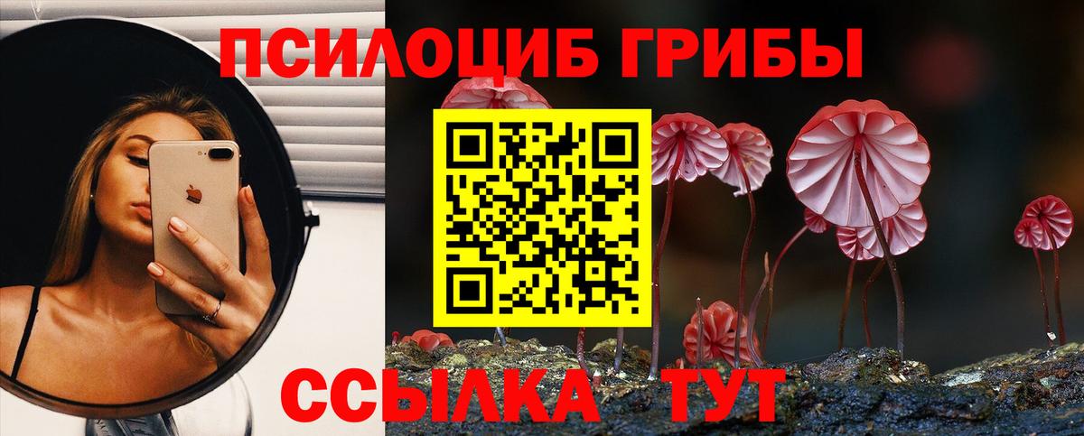 Галлюциногенные грибы ЛСД Брянск