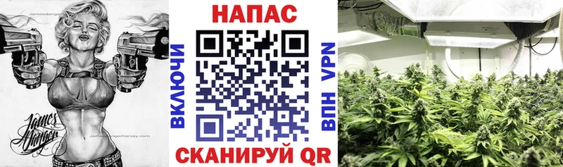 МАРИХУАНА ГИДРОПОН  Брянск 